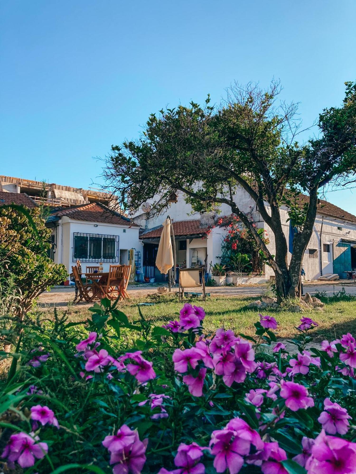 Montijo Garden - Studio With Garden View Buitenkant foto